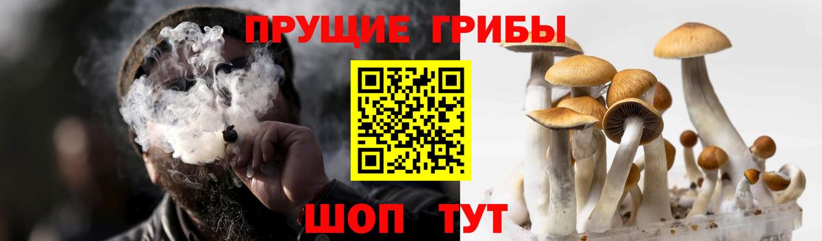 Псилоцибиновые грибы MAGIC MUSHROOMS Северск